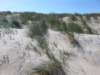 HWK Texel 154_small.jpg